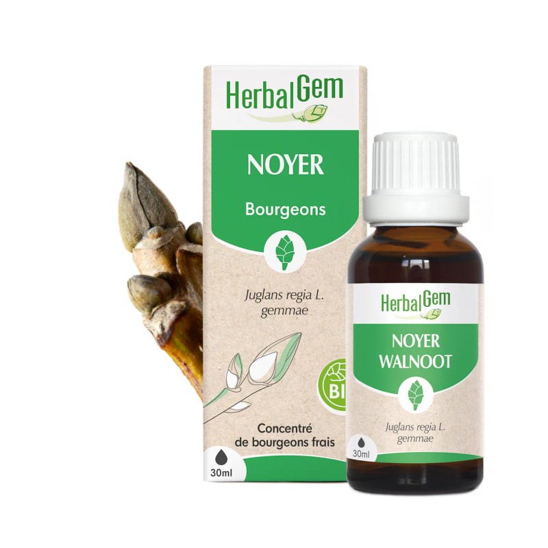 BOURGEONS DE NOYER BIO - HERBALGEM - 30ml