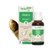 BOURGEONS DE TILLEUL BIO - HERBALGEM - 30ml