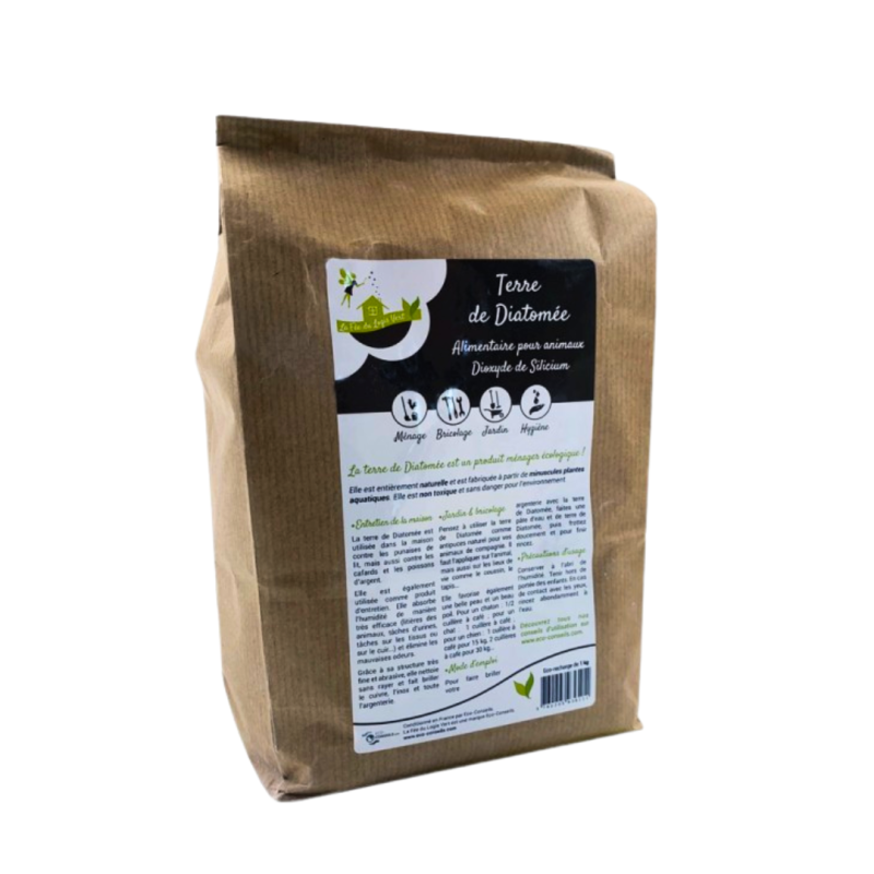 Terre de Diatomée naturelle 400g – Multi-usage maison, anti-humidité & brillance