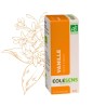 Oléorésine de Vanille (Vanilla fragans) huile essentielle - 5ml - Éolésens