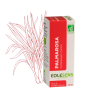 Huile Essentielle de Palmarosa BIO – 10 ml - Éolésens