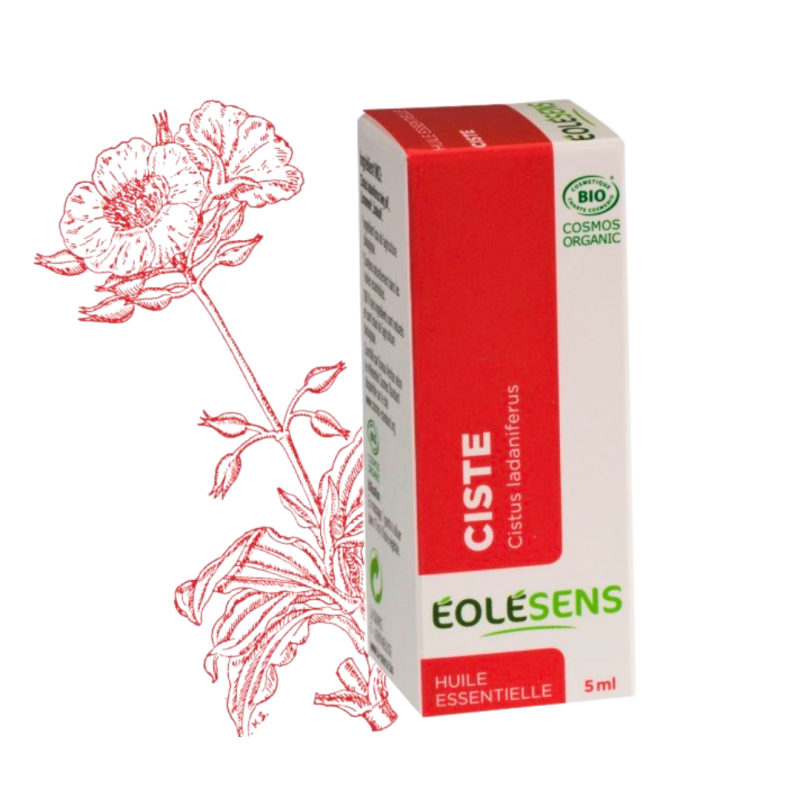 Huile essentielle de Ciste (Cistus ladaniferus) - 5ml - Éolésens