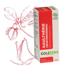 Huile essentielle de Gaulthérie (Gaultheria fragrantissima) Wintergreen - 10ml - Éolésens