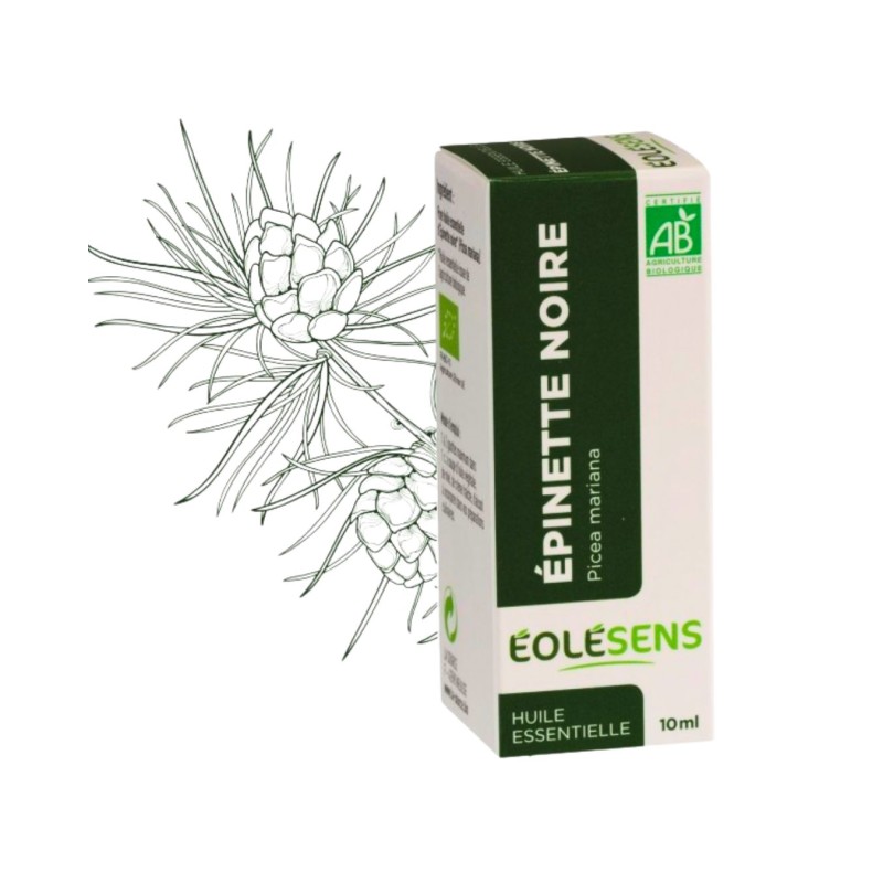 Huile essentielle Épinette Noire Bio (Picea mariana) - 10ml - Éolésens