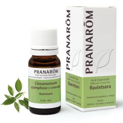 Huile essentielle de Ravintsara Bio - 10ml - Pranarôm