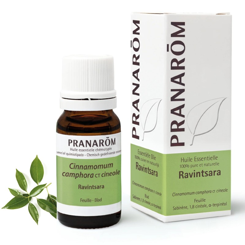 Huile essentielle de Ravintsara Bio - 10ml - Pranarôm