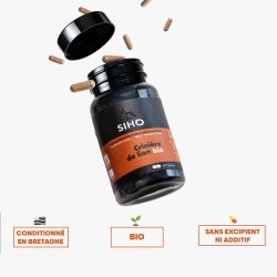 Hericium / Crinière de Lion - Extrait bio - 60 gélules - 1 mois