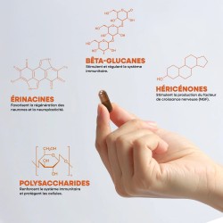 Hericium / Crinière de Lion - Extrait bio - 60 gélules - 1 mois