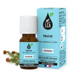 Huile essentielle de Pruche BIO – Respiration & lâcher-prise | France Herboristerie