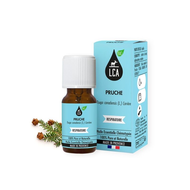 Huile essentielle de Pruche BIO – Respiration & lâcher-prise | France Herboristerie