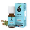 Huile essentielle de Pruche BIO – Respiration & lâcher-prise | France Herboristerie