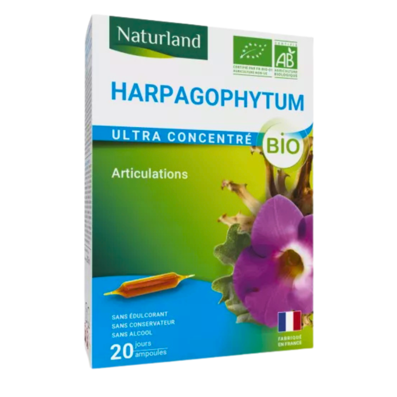 Ampoules of harpagophytum plants. - France Herboristerie