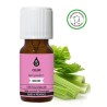 Huile essentielle de Céleri (Apium graveolens L.) - Fruit - 10 ml