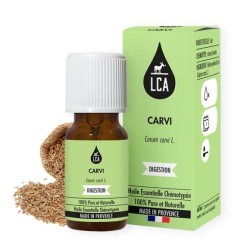 Huile essentielle de Carvi – Confort digestif naturel | France-Herboristerie