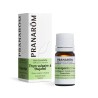 Huile Essentielle de Thym vulgaire à Thujanol BIO - 5 ml - Pranarôm