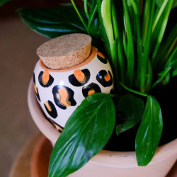 Olla hydratante Léopard en terre cuite - Arrosage autonome naturel pour plantes en pot