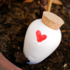 Olla coeur