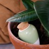 Olla Vert en terre cuite – arrosage autonome naturel pour plantes