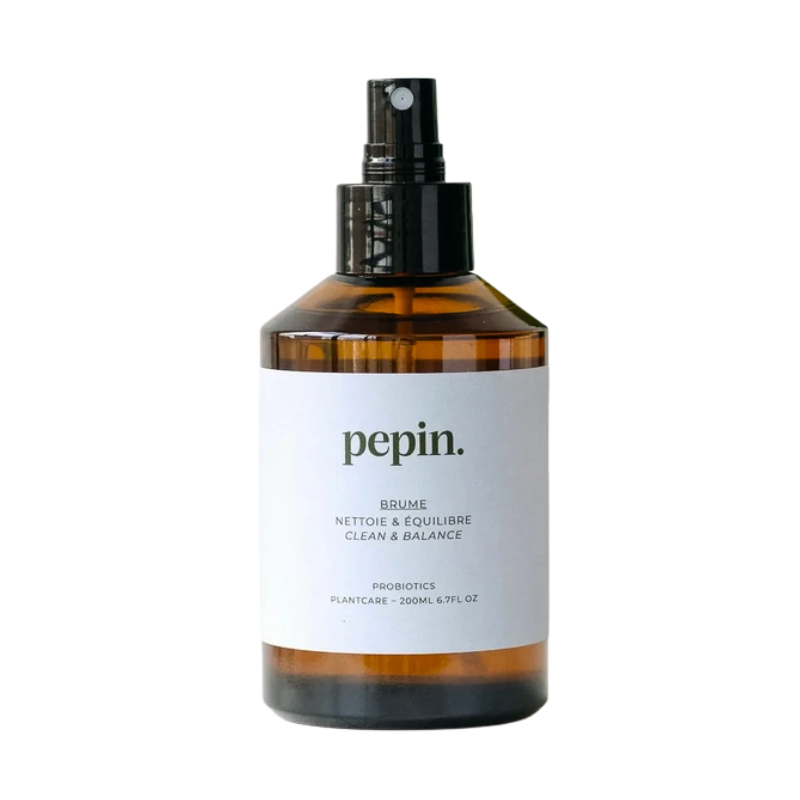 Brume nettoyante pour plantes d’intérieur - Spray naturel pour nettoyer les feuilles et équilibrer le microbiote