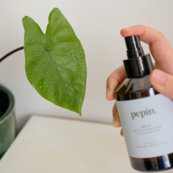 Brume nettoyante pour plantes d’intérieur – spray naturel pour feuilles