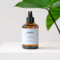 Brume nettoyante pour plantes d’intérieur – spray naturel pour feuilles