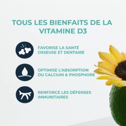 Vitamine D3 vegan issue du lichen bio 60 comprimés