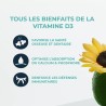 Vitamine D3 vegan issue du lichen bio 2000 UI - 60 comprimés Inolab