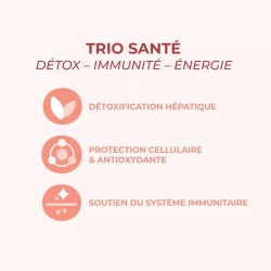 DETOX-LEBER + HAUT-Komplex – Magnesisches Chlorophyll, Mariendistel und Klette