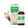 Bourgeon de Pommier Bio HerbalGem 30 ml – Confort féminin & ménopause