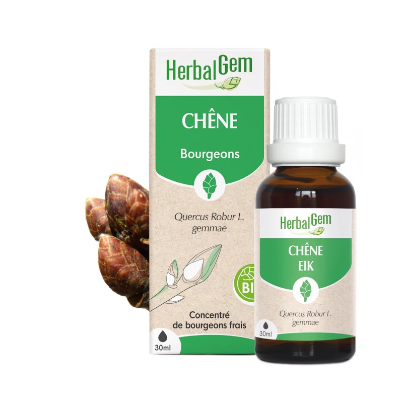 Bourgeon de Chêne Bio HerbalGem 30 ml – Vitalité & tonus naturel