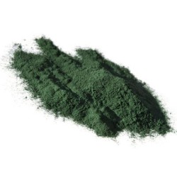 Spiruline 1 Kg POUDRE Spirulina maxima