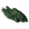Spiruline 1 Kg POUDRE Spirulina maxima