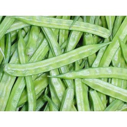Guargummi 250 g PULVER Cyamopsis tetragonolobus