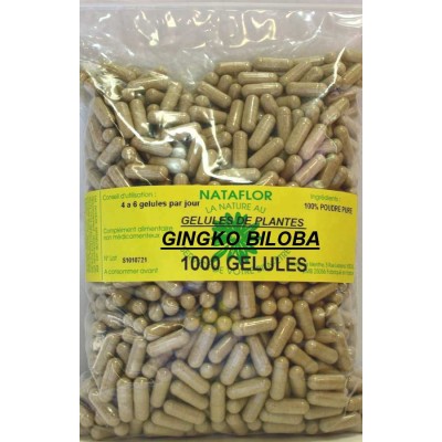 GELULES GINGKO-BILOBA 250 mg 1000 GELULES