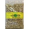 GELULES PISSENLIT racine 250 mg 1000 GELULES