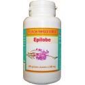 EPILOBE GELULES 200 Kapseln mit einer Dosierung von 200 mg.