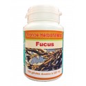 FUCUS-Blasenkapseln 100 Kapseln mit einer Dosierung von 330 mg reinem Pulver.