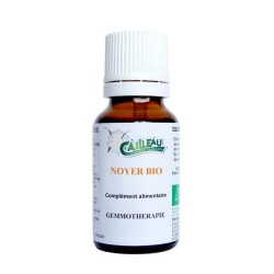 Noyer gemmothérapie BIO.