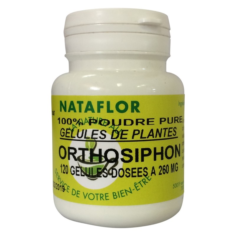 GELULES ORTHOSIPHON  feuille 260 mg 