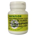 GELULES ORTHOSIPHON feuille 120 gélules dosées à 260 mg