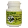 TRIBULUS GELULES 300mg.