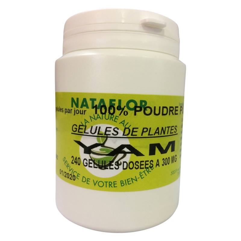 GELULES YAM 300 mg 16% diogénine 