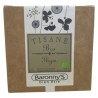 Kräutertee Thymian BIO
