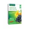 Minceur Cellulite Bio 20 Ampoules Buvables de 10 ml