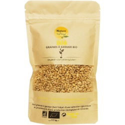 Graines à germer bio de Blé – 150 g
