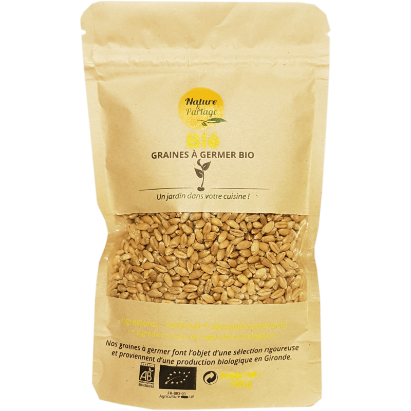 Graines à germer bio de Blé – 150 g