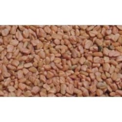 Fenugrec semence 1 Kg POUDRE Trigonella foenum-graecum