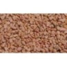 Fenugrec semence 1 Kg POUDRE Trigonella foenum-graecum