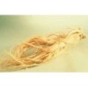Ginseng blanc racine 1 Kg POUDRE Panax ginseng