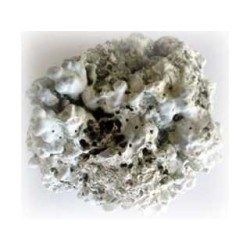 Lithothaminium calcareum 250 g pdre